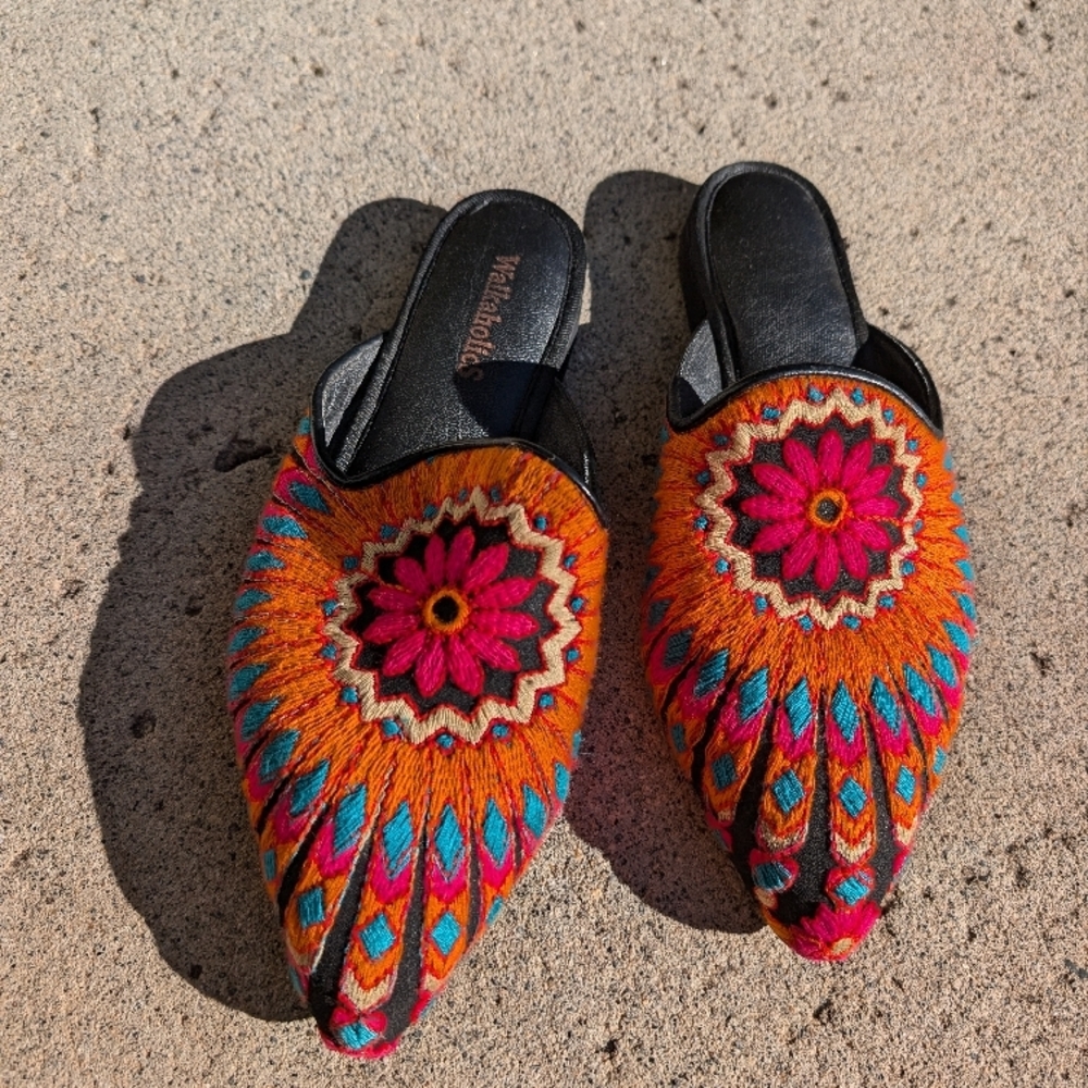Multicolor Embroidered Women's Shoes